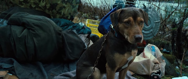 vlcsnap-2019-05-29-21h39m55s226