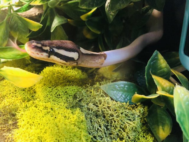 6EBD653D-4B07-46DD-8F4F-129E1BDEF920