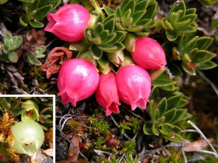 4075cdf9c96da99ef6c306e7293d722054c71c2d