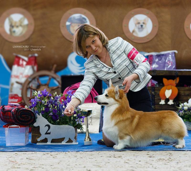националка семнадцатый Санни