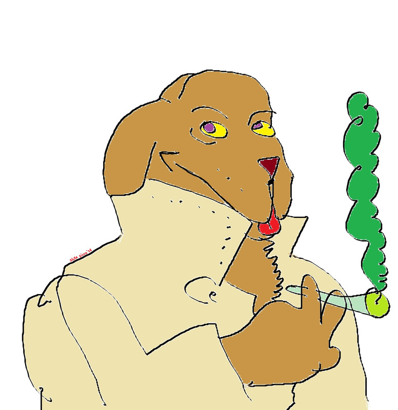 don-graf-1.jpg