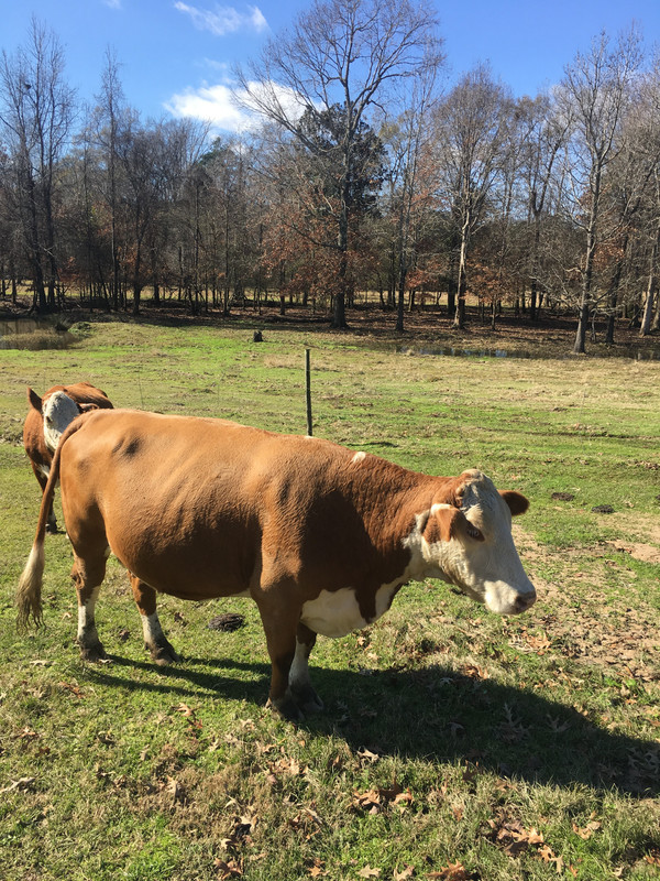 0683707D-C245-485C-8EFF-A72A478ACD0A