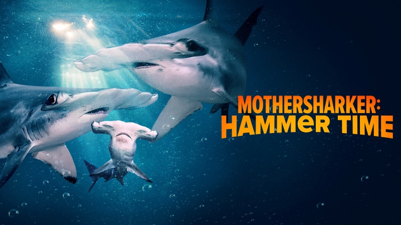 Kde se rodí kladivouni / Mothersharker H. Time (2024) / CZ