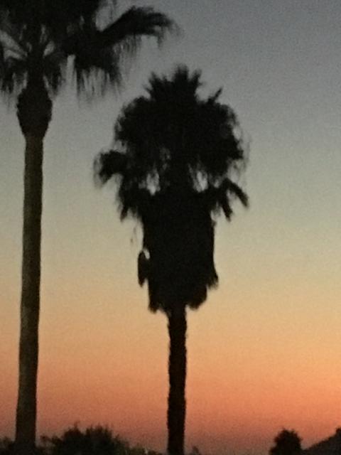 1FE8E095-2E2A-4155-873D-3A2460253D84