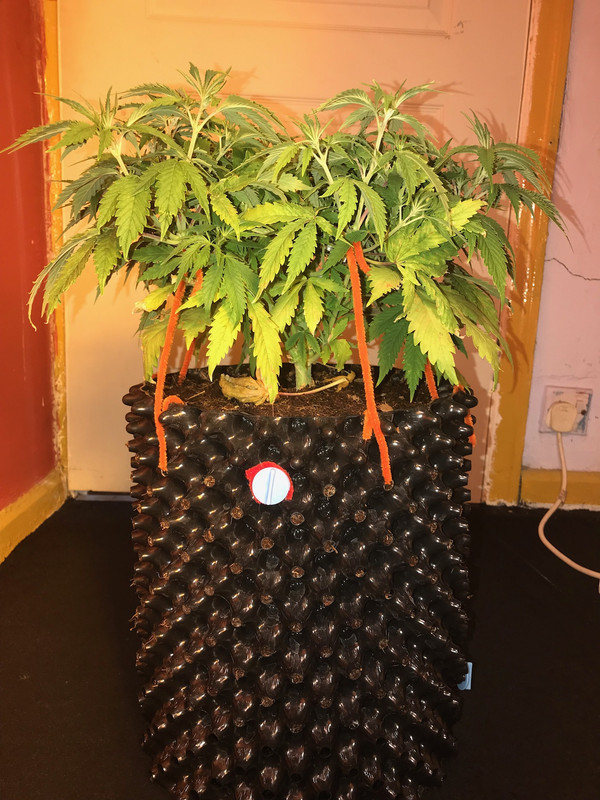 BBABE7AE-B211-4E00-A17C-B68096CE58DA