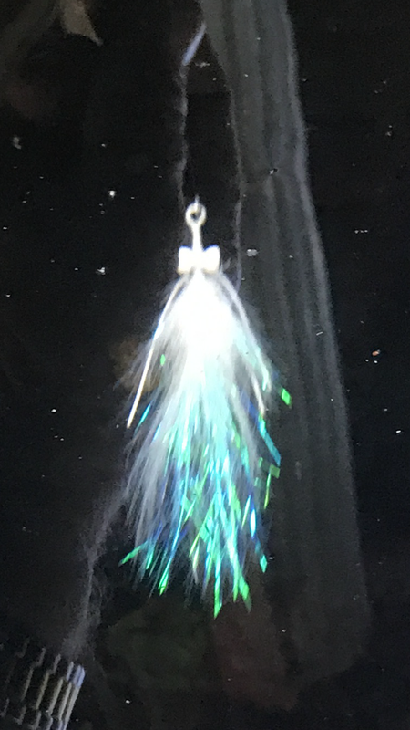 IMG-5061.png