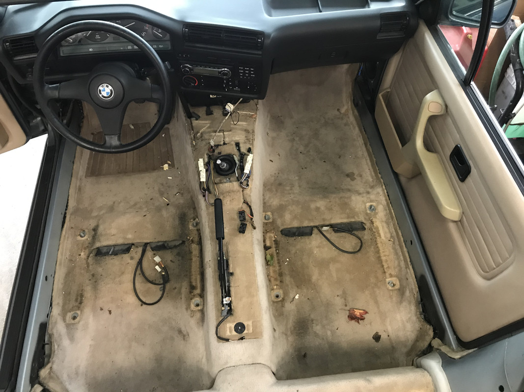 243A7CF5-BE65-4C11-96E9-351587331A5F