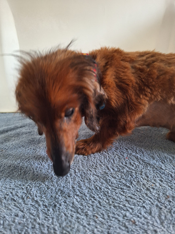 [Image: 20240321-174332.jpg]