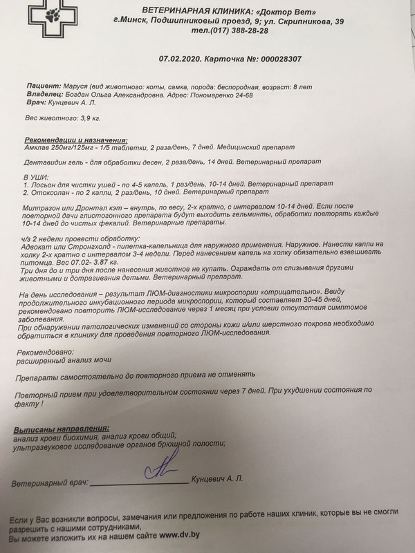 Маруся назначение