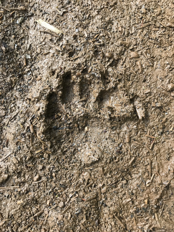 88770D4B-56F4-4A0F-BB56-75013F929D5C