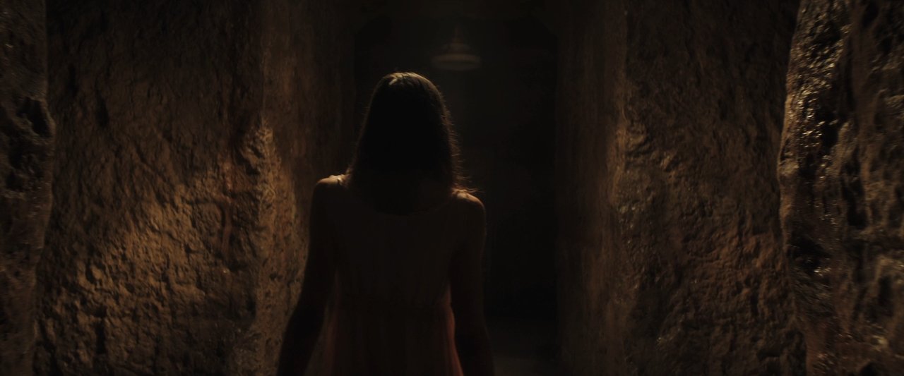 L'uomo del labirinto (2019) [BluRay Rip 1080p ITA DTS-AC3] [M@HD].mkv_snapshot_00.15.57.710