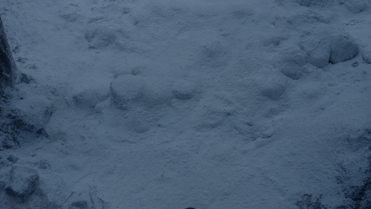 Il.Trono.di.Spade.S01E01.L.inverno.sta.arrivando.1080p.BDRip.ITA.ENG.FLAC.x264-BlackBit[screenshot 2