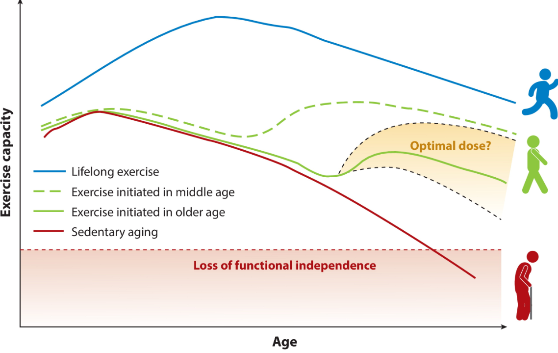 It's never too late to start exercising