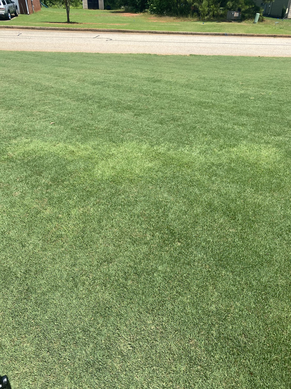 Light green spots in yard Lawn Care Forum