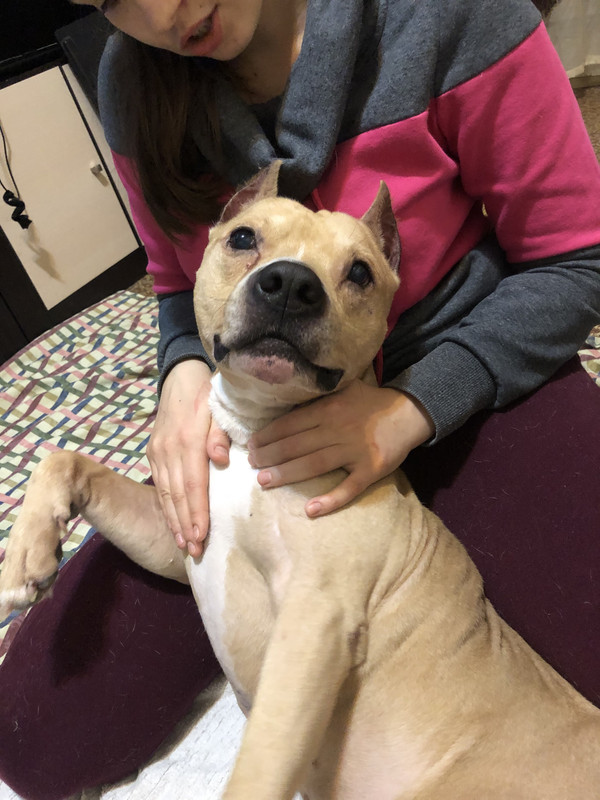 8637B80D-1CED-406D-94CF-9240A0492C61