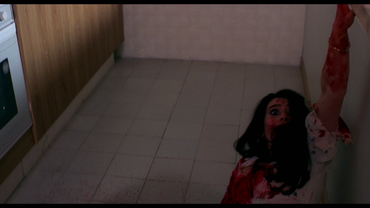 vlcsnap-2024-02-05-14h15m31s375