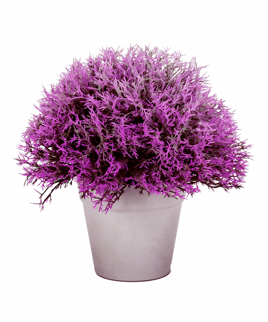 PeacockDreams_MM_Element (133)