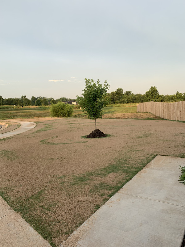 6CF78C82-0030-4D9A-BF04-B41069BA31EE