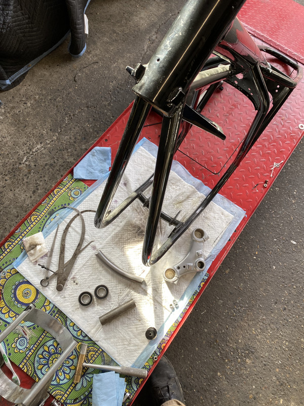 305C6044-8FED-4F81-ADAD-8DF039BAF1C5