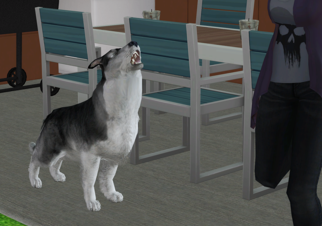 Sims2-EP9-RPC-2022-12-20-20-17-53-46