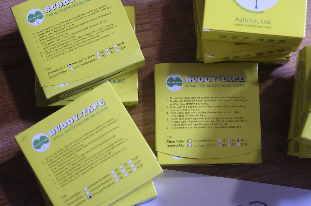 buddy2