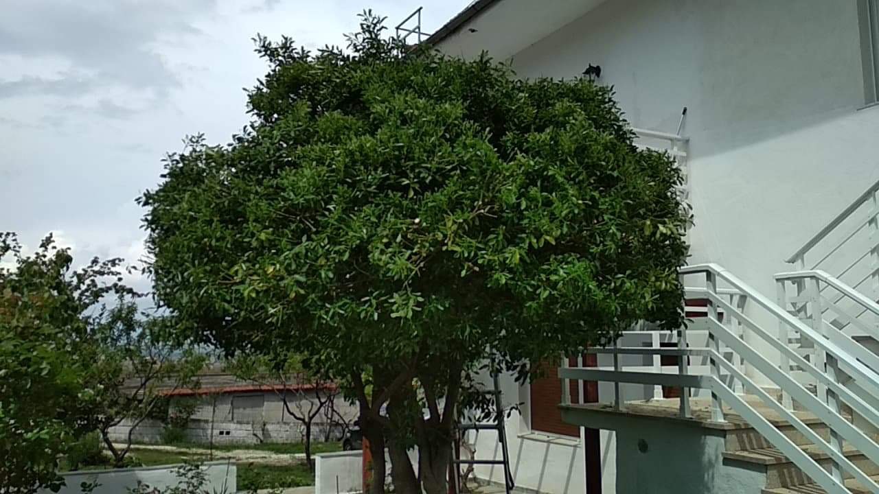 B4093CF0-F69B-4295-8FF6-F5801B9F655D