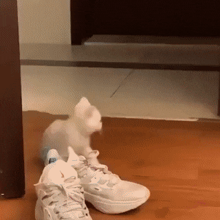 daily-gifdump-3383-14.gif