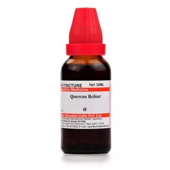 Willmar Schwabe India Quercus Robur 1X (Q) (30ml)