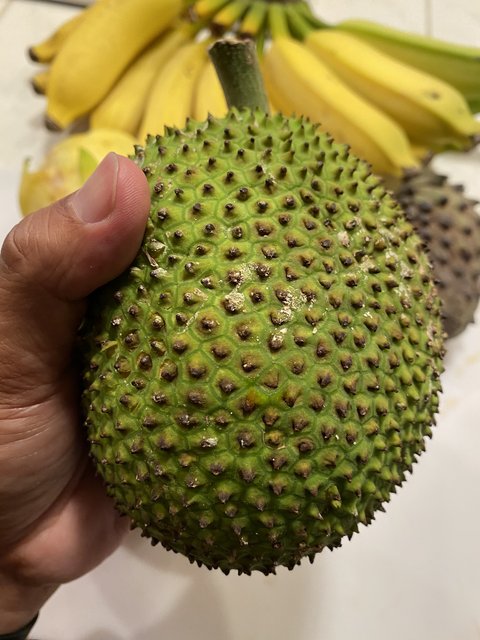 5B77E162-0E98-4A63-9EA9-18D93397211F