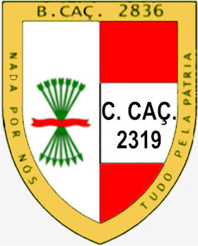 CCac2319