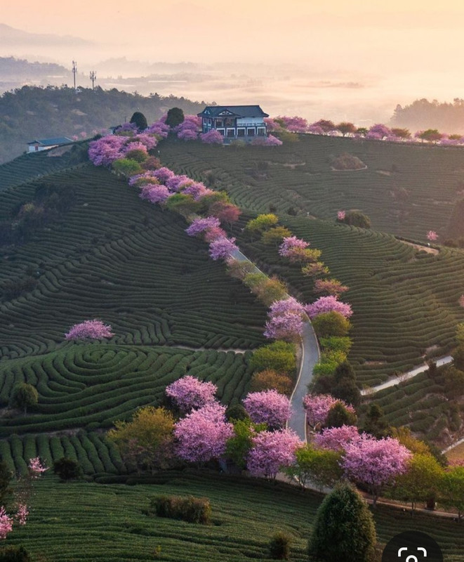 Screenshot_20240331_155604_Pinterest