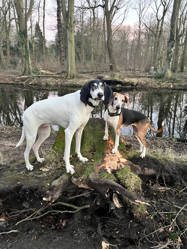 7E36EEBE-7BD6-47A1-B51A-A77E1995EE01