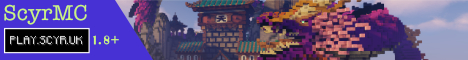 server banner