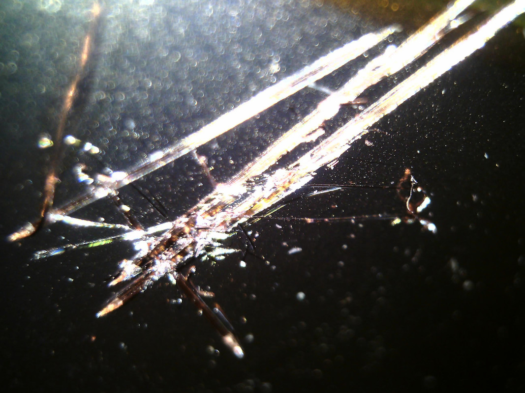 Изображение 010