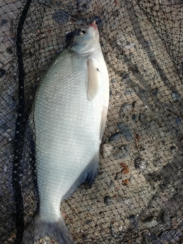 Изображение 1402