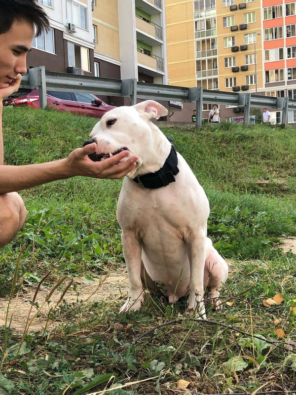 FF8A8214-0D62-4CA9-B940-D205D05B165E