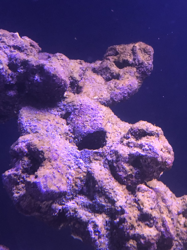 434CCFD3-D409-41DF-AB69-BEEA42602CE5