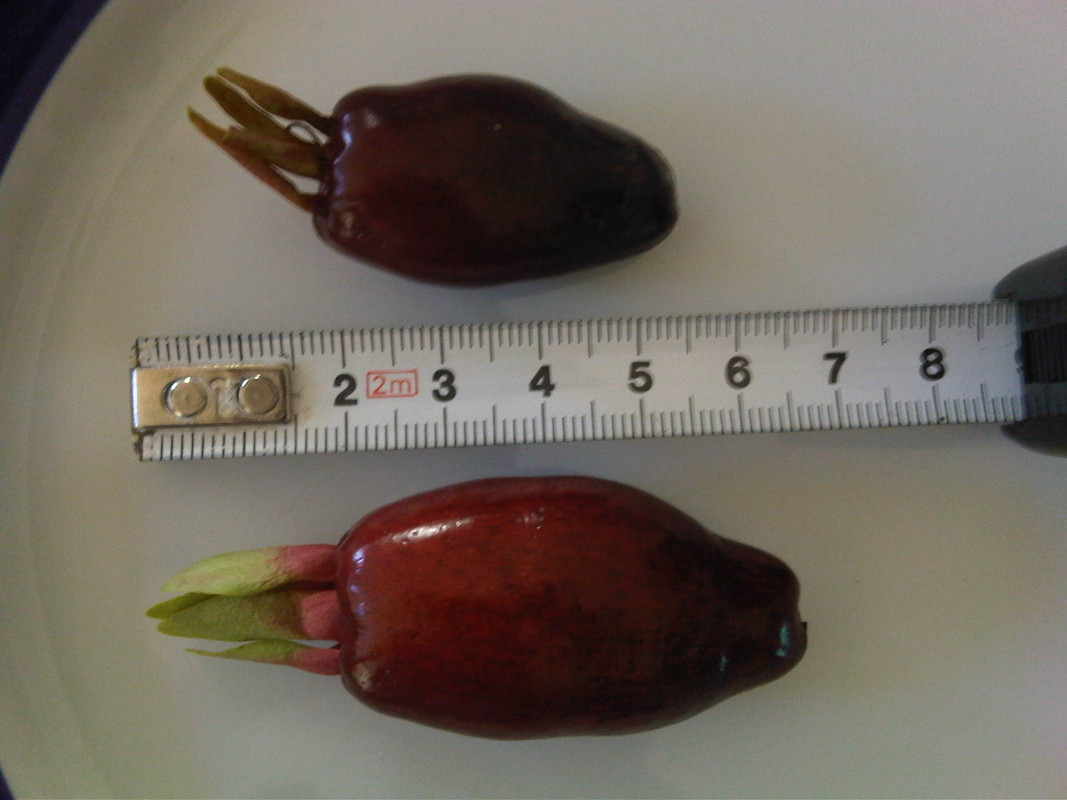 IMG00235-20130624-1951