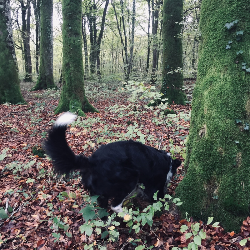 CE11D2A8-53C1-4CE9-BB46-91E771BD23FE