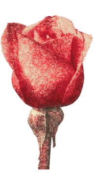graphic 2, no text