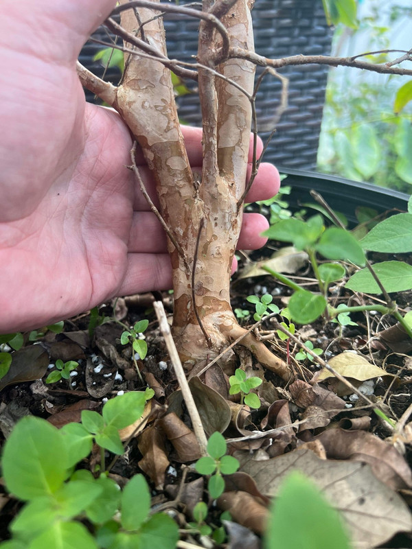 F34DB956-C223-4578-87B4-0B394D6DA48F