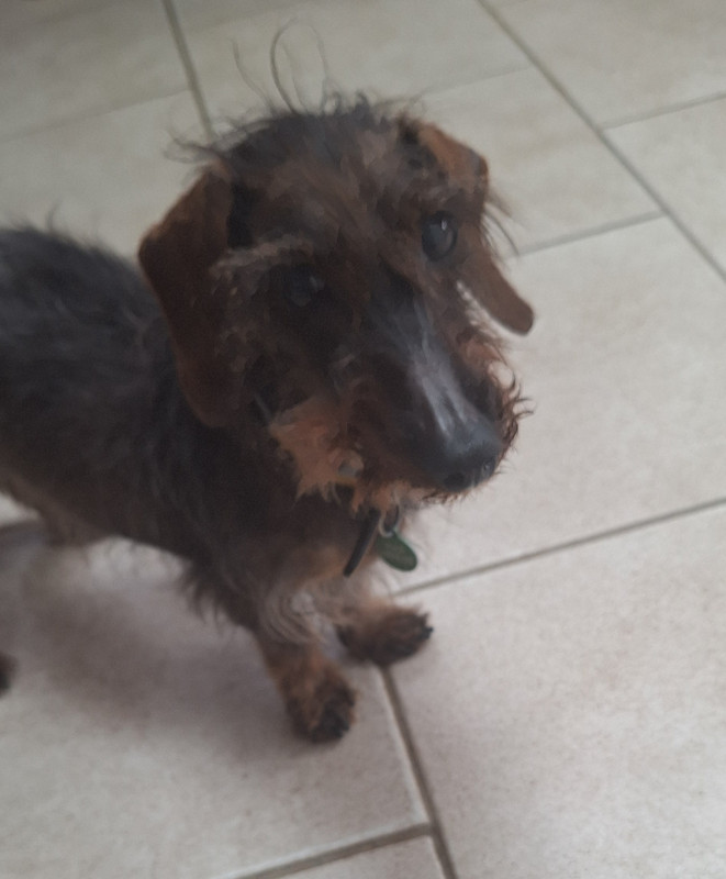 [Image: 20250415-101423.jpg]