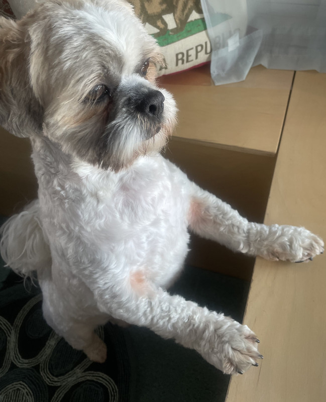 9807AC36-B50C-4398-92C1-A5FFD7B0A618_1_201_a