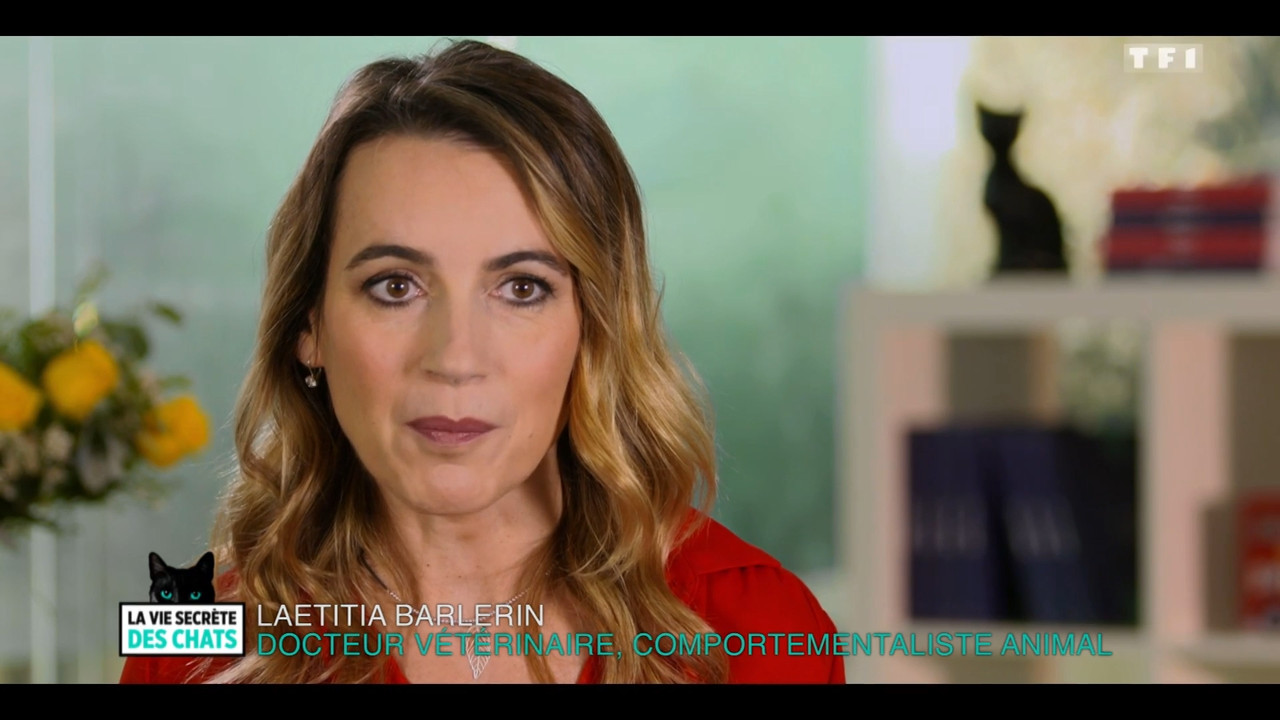 2020-05-30_10_35_TF1_La-vie-secrete-des-chats_Chats-et-sentiments-avec-Charlotte-Valan.mp4_snapshot_
