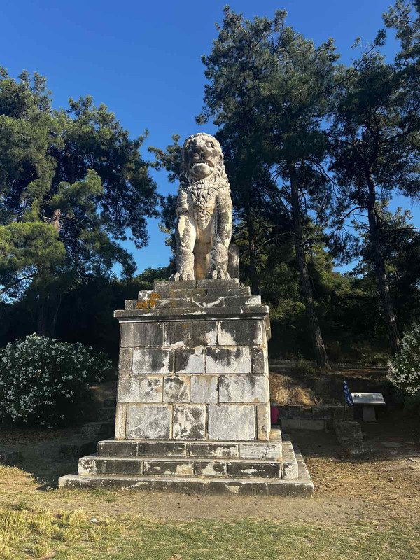 εικόνα_Viber_2025-06-25_13-43-46-301