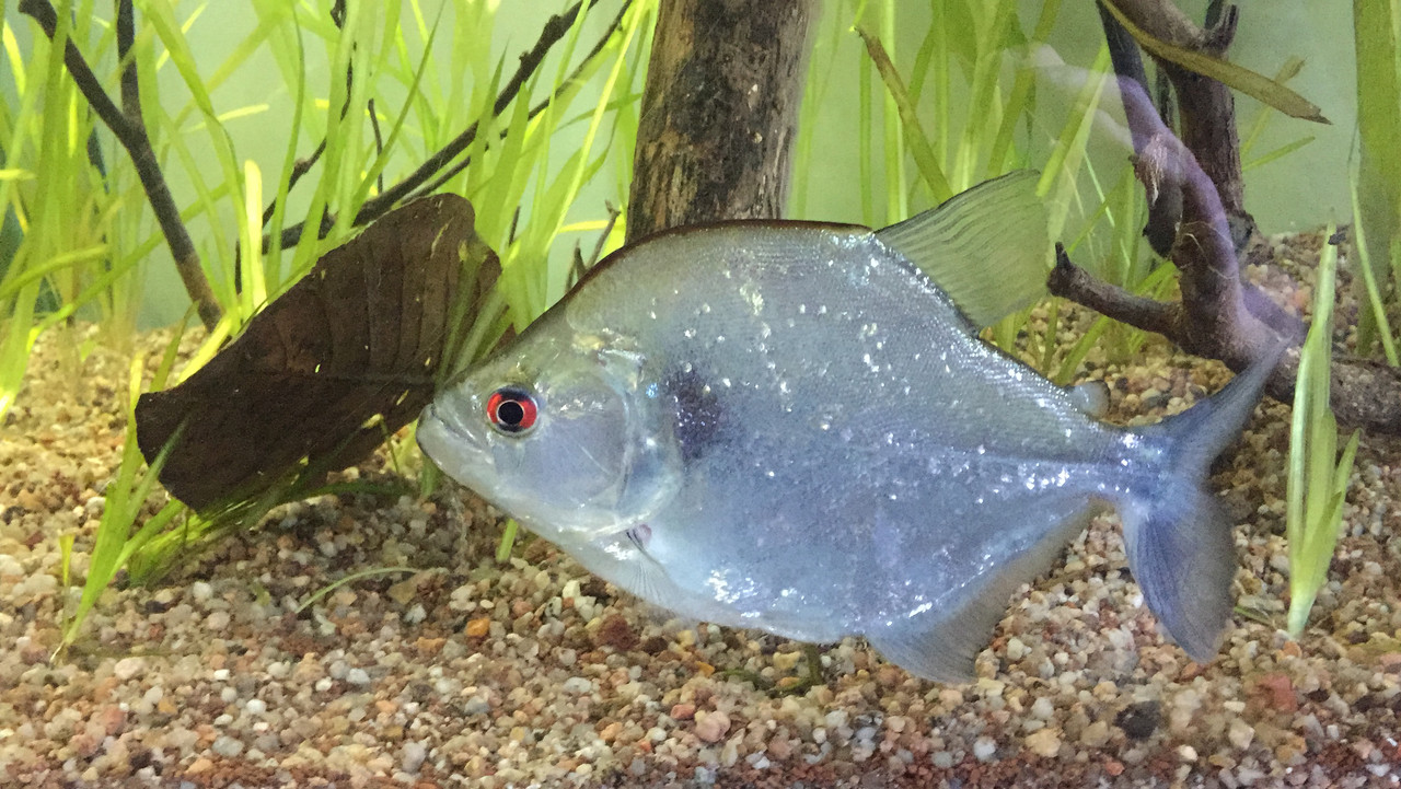 C560E49C-4BCA-4DA4-A67C-4E7B1E051C53