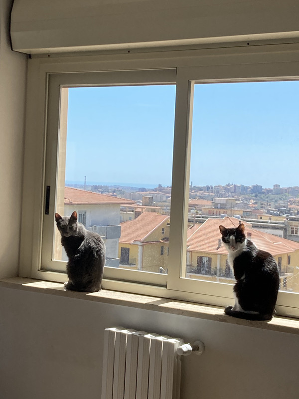 09AAC408-8388-4686-8F18-DA0C85D5E2F2