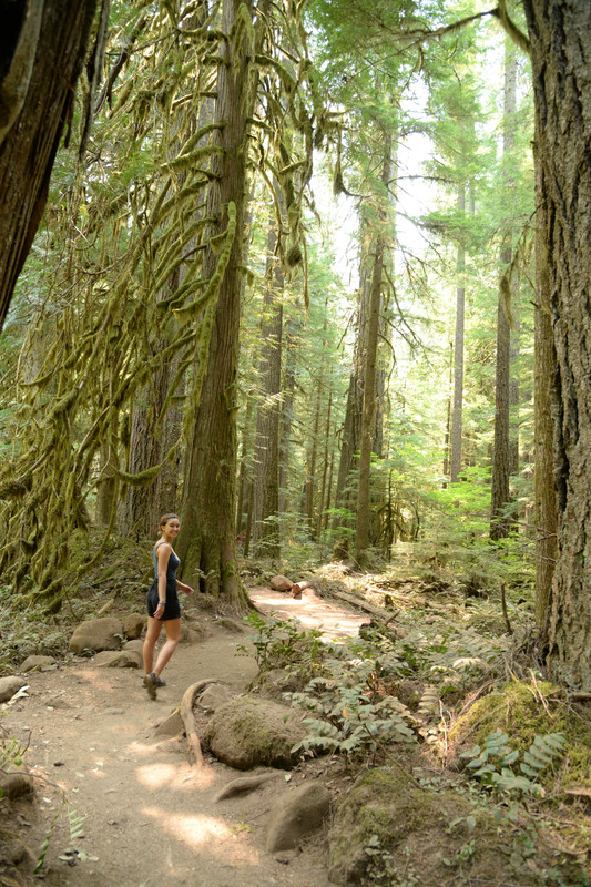 Árboles gigantes, fuegos y volcanes extintos - Oregon y California norte (2018) - Blogs de USA - Centro, Columbia River Gorge y Mount Hood (6)