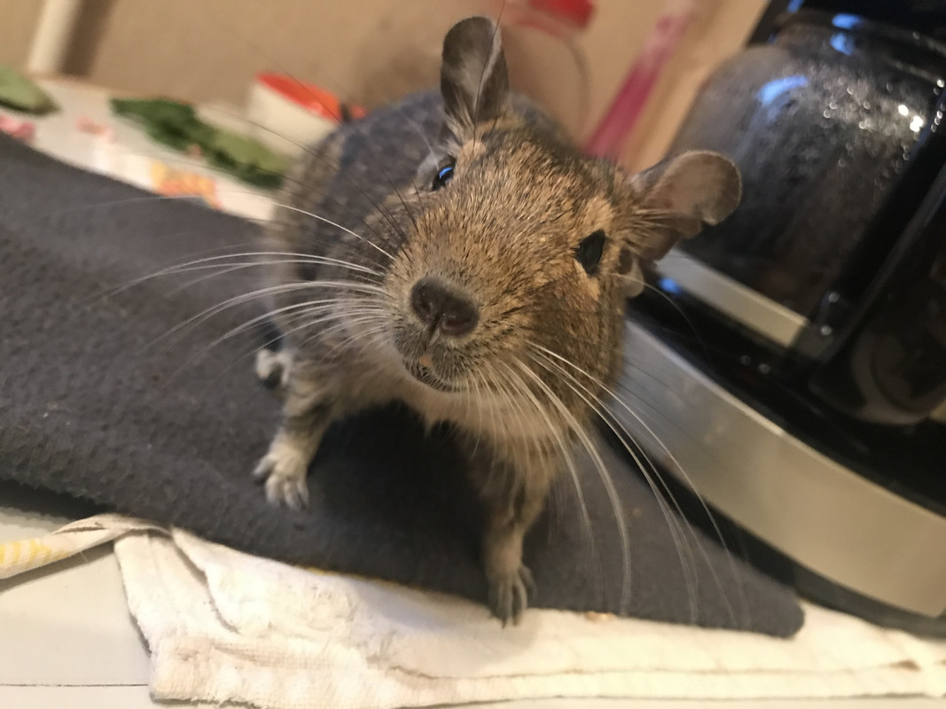 80AF37A9-1202-4CFE-BB74-918B47156AB1