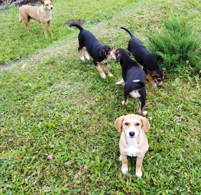 изображение_viber_2019-09-22_13-33-27